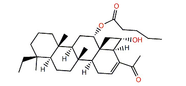 Carteriofenone E